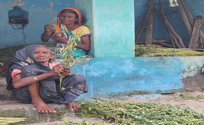 तब सौ रुपए भी नहीं जोड़ पाती थीं मेंघईबाई, अब एक हजार पाकर खुश है….